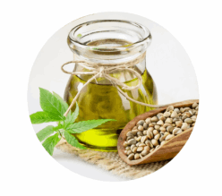 Neotonics-Tribulus Terrestris